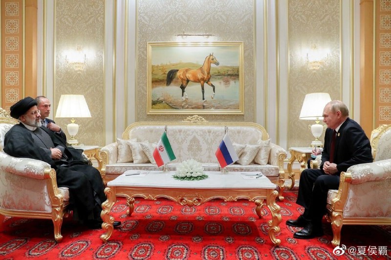 普京，你怎么了普京，你怎么了