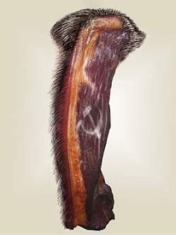 是腊肉的族裔吗是腊肉的族裔吗