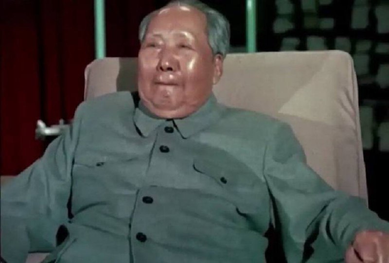毛毛咋啦🤢🤮，牠
