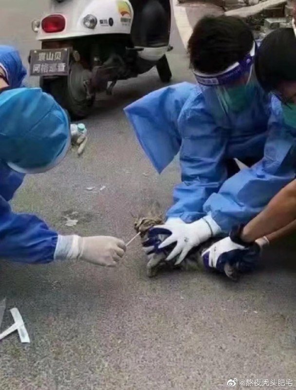 一些感人瞬间一些感人瞬间