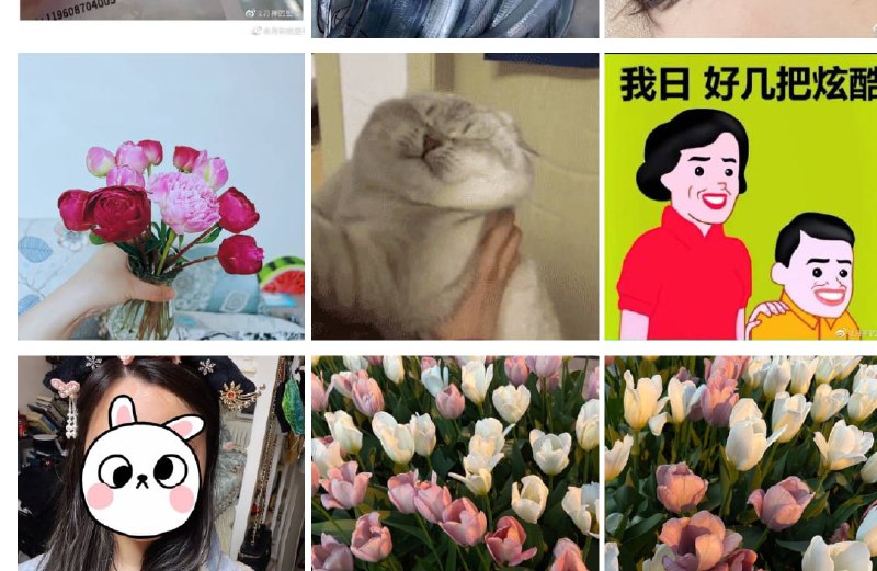 又一个举报蝈楠的，今年出生率没了投稿By