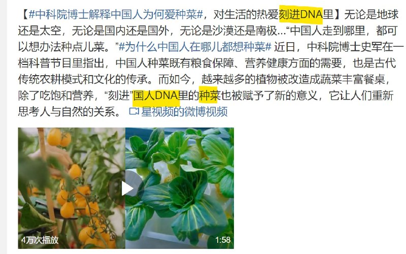 恁永远都是都是XX人🤡投稿By