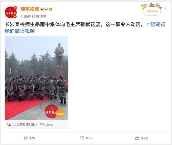 盼蜡归拐卖幼女·马迎新·老鸨