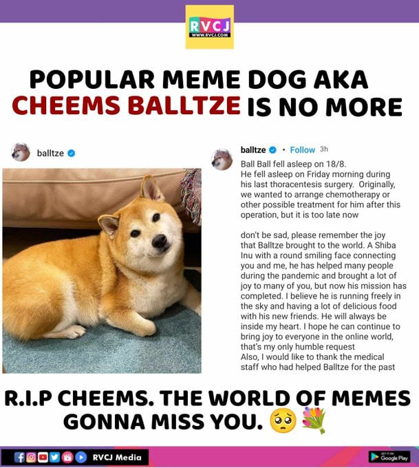 😭我们怀念它😭我们怀念它