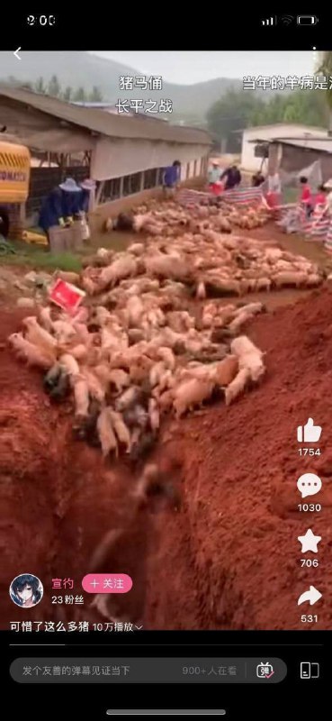 请记住这个画面，曾经的毛腊肉以及未来习包子就是这样杀中国人的By