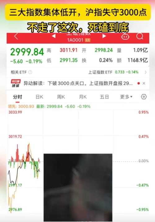 又股灾了，3000点