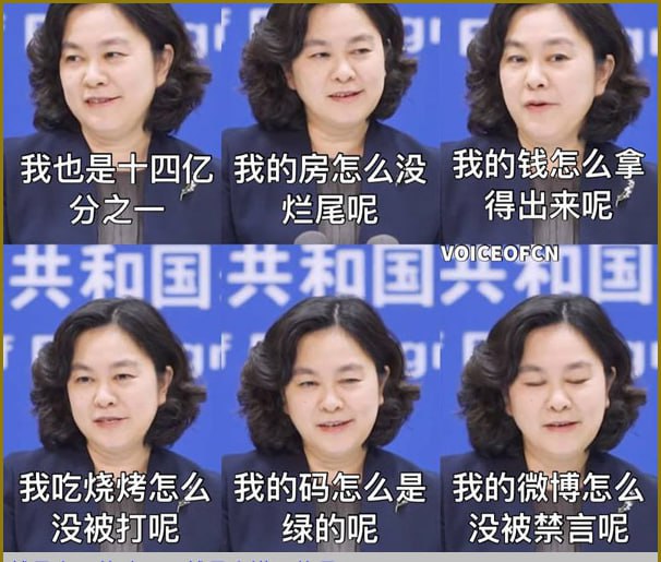 华春莹升任外交部副部长华春莹升任外交部副部长
