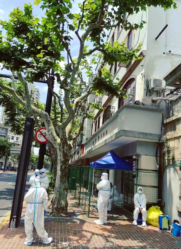 国营-红玫瑰，老干部太太最爱的地方惨遭封锁投稿By