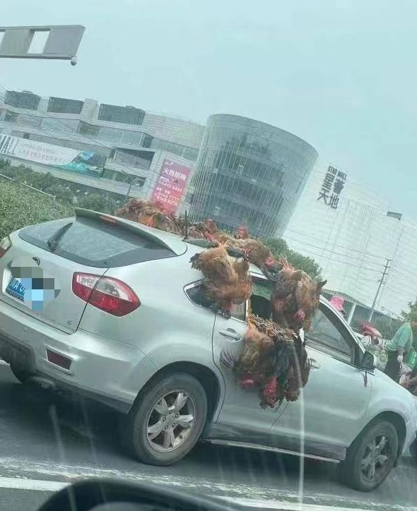 《信任》马迎新⚔️大佐《信任》马迎新⚔️大佐