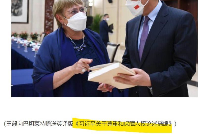 王毅向联合国人权专员赠送 习近平人权语录投稿By