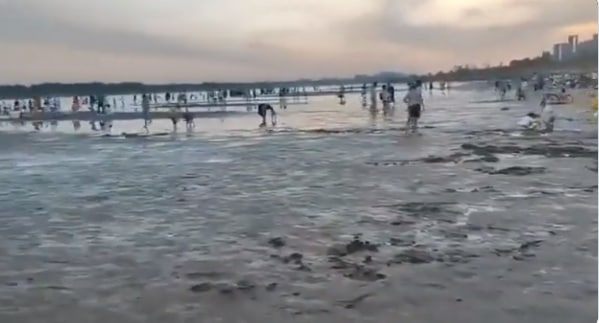 吉兆，建国来都没见过的景象习近平👅马迎新吉兆，建国来都没见过的景象习近平👅马迎新