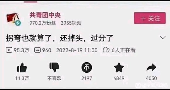 悲报，标题已改马迎新-丸崽悲报，标题已改马迎新-丸崽