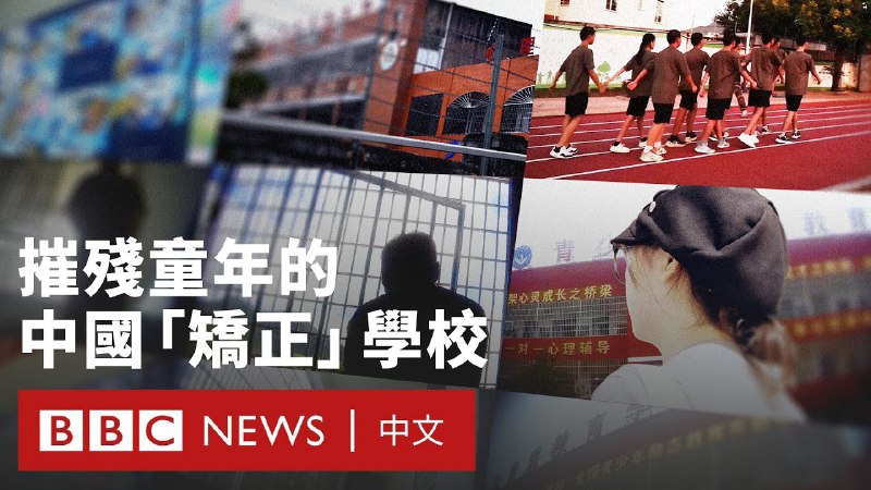 BBC调查中国的“纪