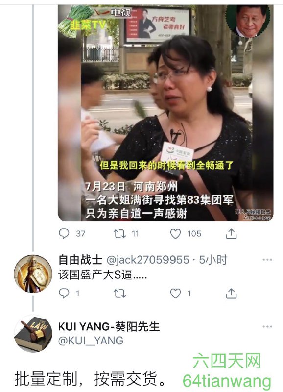  王晶（六四天网义工） (Twitter)河南洪灾死难者数字未明 中共发挥特长洗脑转移民众注意力 