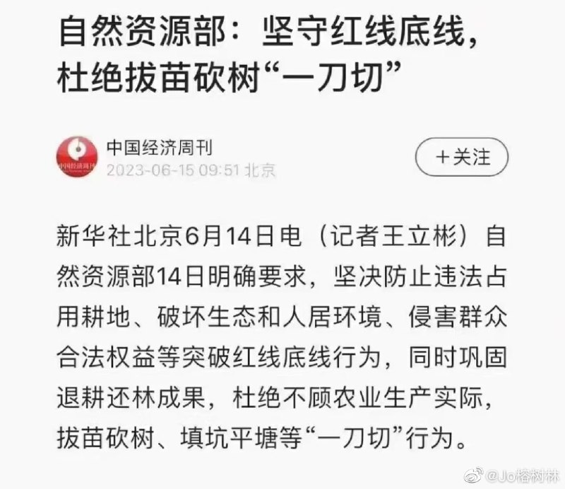 精神病国家，把山砍得光秃秃后又去栽树精神病国家，把山砍得光秃秃后又去栽树