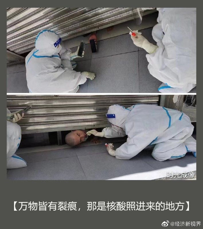 谁也阻止不了，中国人民对核酸的热爱，合订本马迎新⚔️大佐谁也阻止不了，中国人民对核酸的热爱，合订本马迎新⚔️大佐