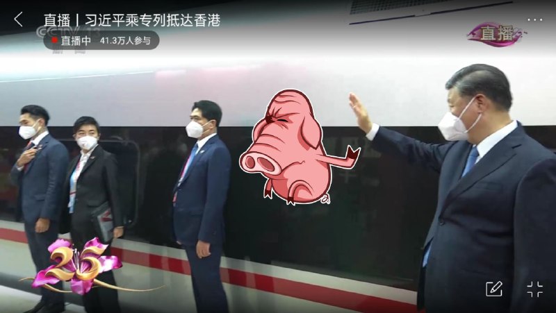 可爱的包包肚子又大了投稿By