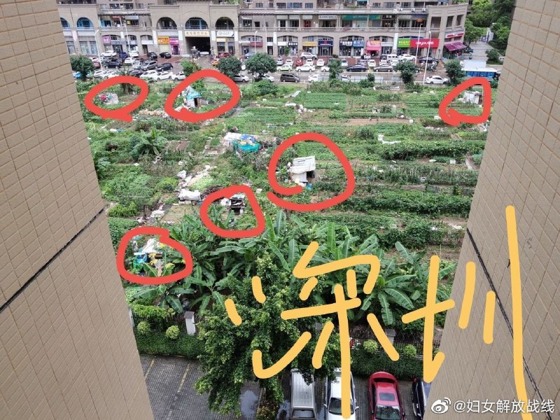 这一定不是习近平的中国，哪来的群众演员这一定不是习近平的中国，哪来的群众演员