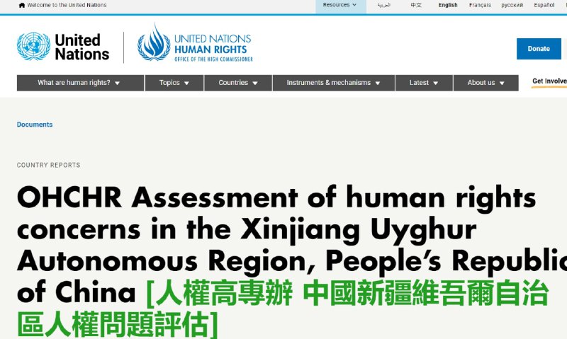 认定对教培中心中发生虐待或酷刑的指控，以及对性暴力和性别暴力的个别指控皆可信；有严重迹象表明，强制且歧视性的计生政策实施导致侵犯生育权利；也有迹象提示，包括教培中心在内的以扶贫和去极端为名的用工项目可能涉及基于民族宗教的强制与歧视元素