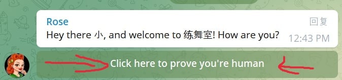 无法在频道下留言的朋友，可能因为未通过检测请点击此按钮，人机识别通过后即可留言