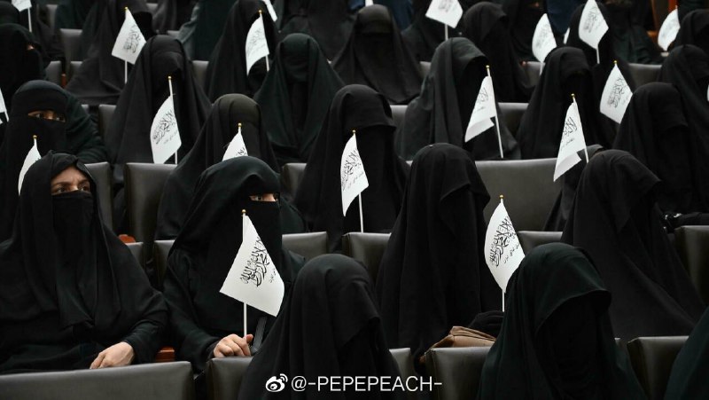 舆论两极化，男的要求女的检点，女的觉得中国是男宝国