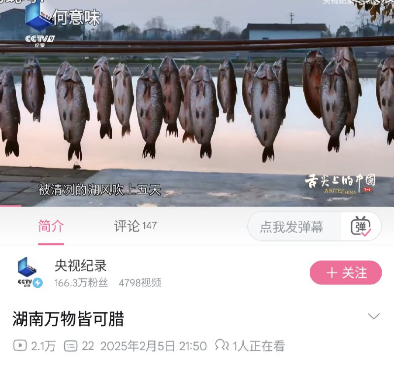 震惊我一万年By:匿