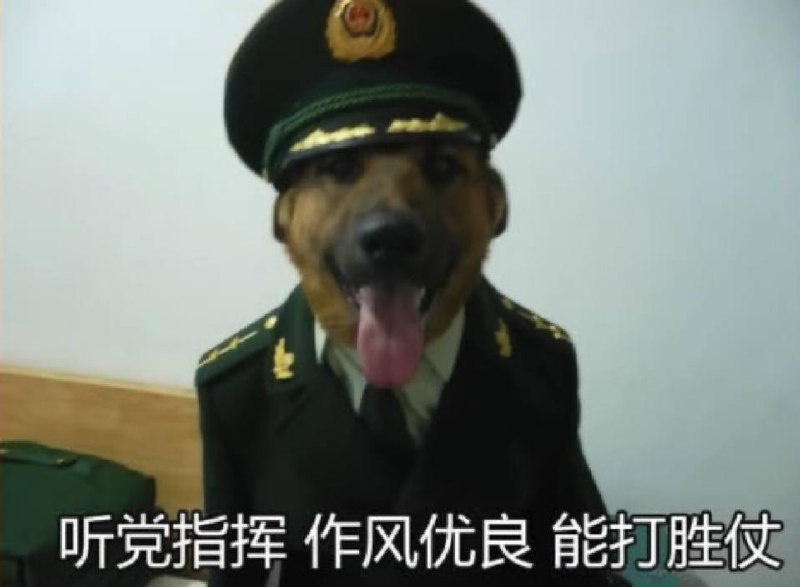 辱军了👤 来自: