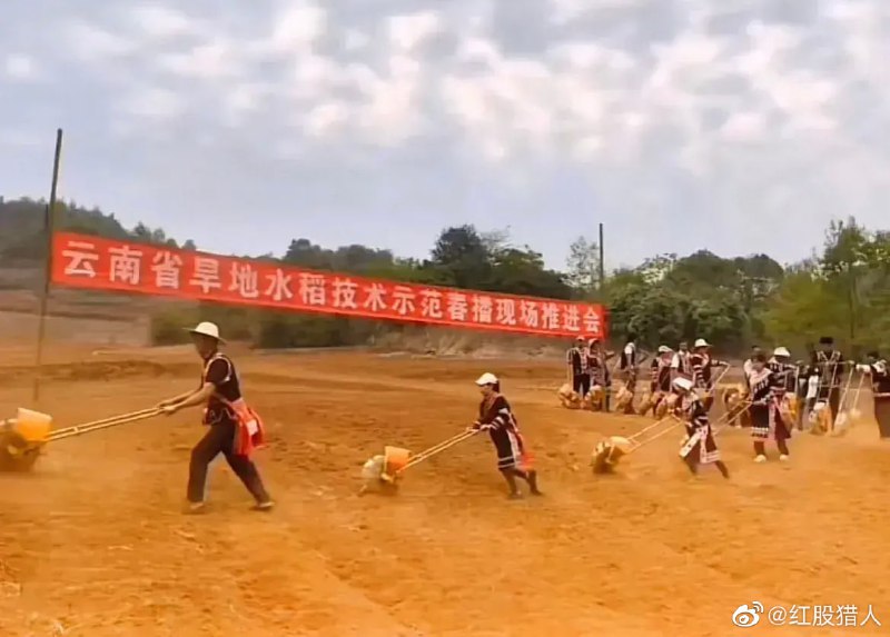 相信共产党的力量，能够扭转一切科学《沙漠种水稻》#诺贝尔生物学奖 #人定胜天相信共产党的力量，能够扭转一切科学《沙漠种水稻》#诺贝尔生物学奖 #人定胜天