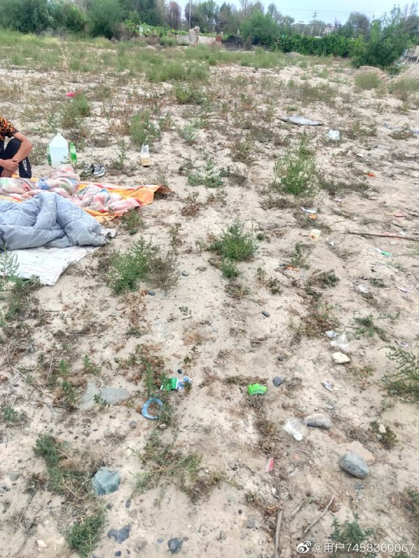 石河子被迫害的少民石河子被迫害的少民