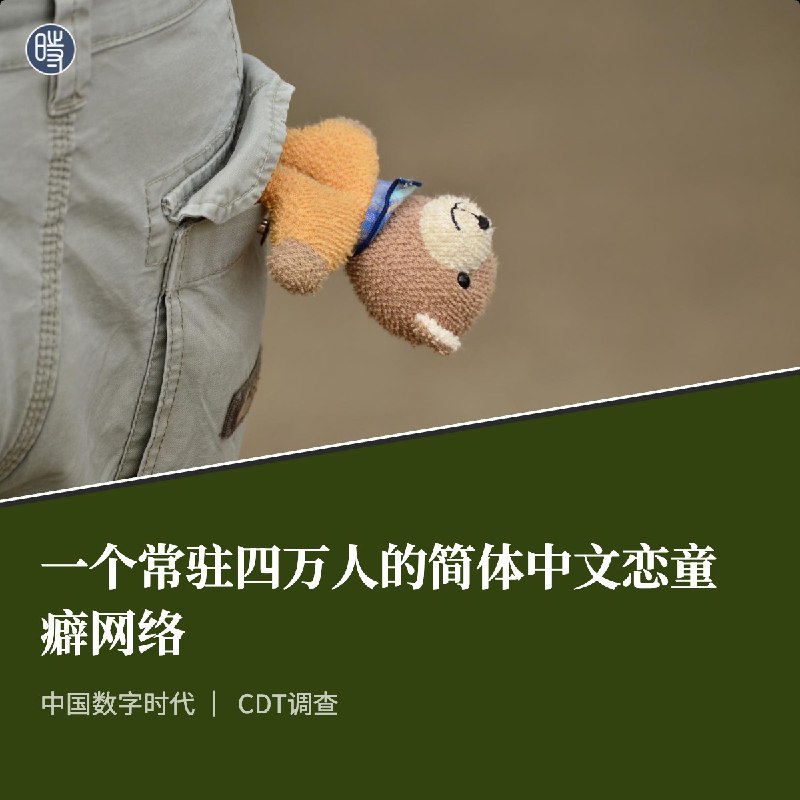 反对CSAM内容！请