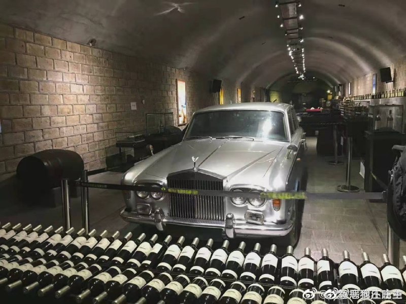 好地方单挺不知道有没有被他爹杀了，微博已经全是怪诞类报平安传送门