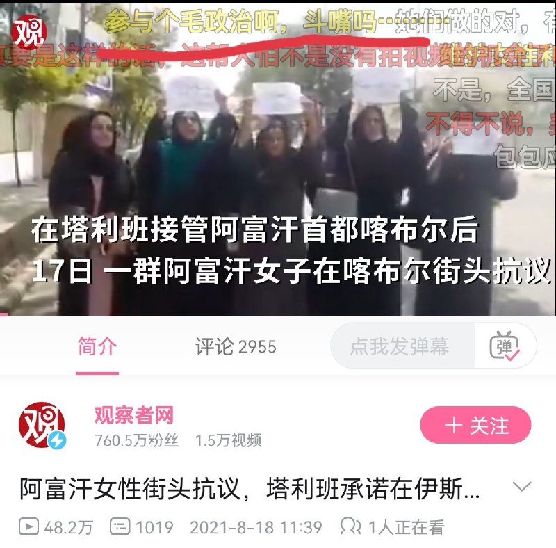 这就是支站的兔兔吗，爱了爱了By