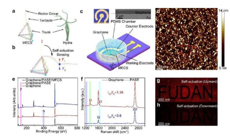 中国又制造黑科技了By