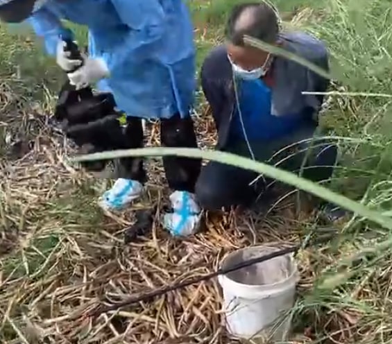 钓鱼佬的结局，全副武装的晶哥，我还以为是抓啥毒贩呢马迎新大佐钓鱼佬的结局，全副武装的晶哥，我还以为是抓啥毒贩呢马迎新大佐