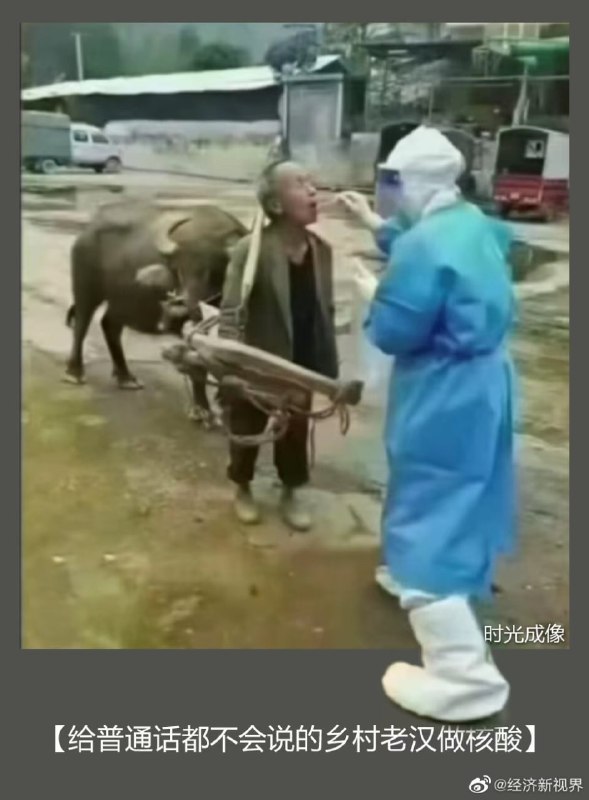 谁也阻止不了，中国人民对核酸的热爱，合订本马迎新⚔️大佐谁也阻止不了，中国人民对核酸的热爱，合订本马迎新⚔️大佐