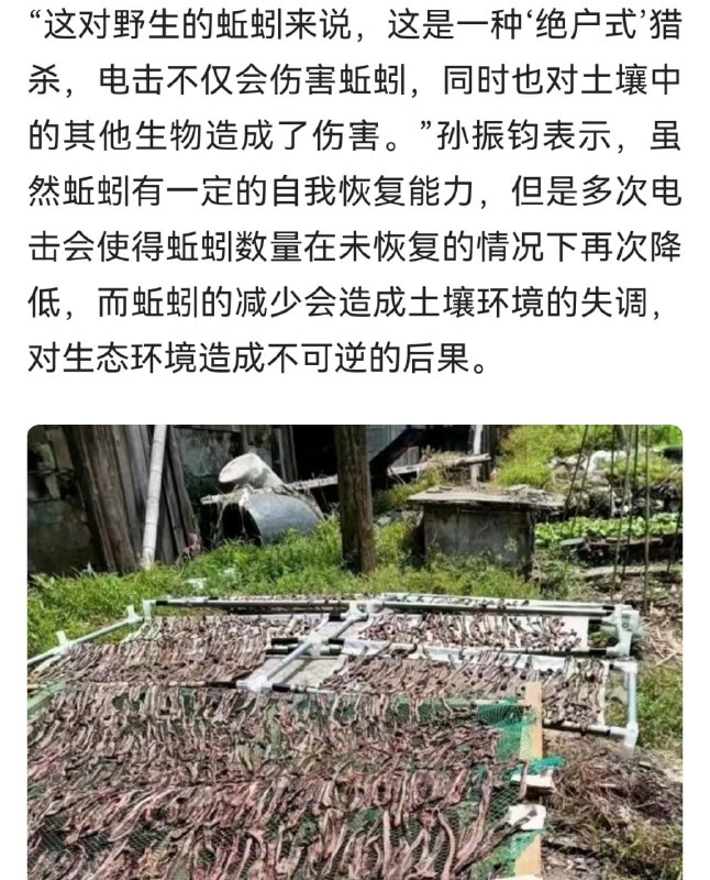 这就是中国投稿By