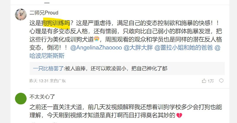 中国的培训狗狗，是走虐狗路线投稿By