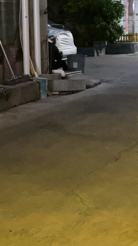 晚上路过一家饭店后面的垃圾桶，看到一个妇女在捡里面的盒饭吃 Tweet by @LiYing_2015