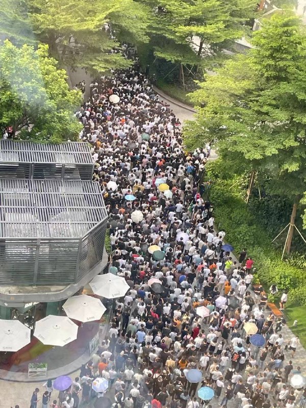 深圳科技园习近平👅马迎新深圳科技园习近平👅马迎新