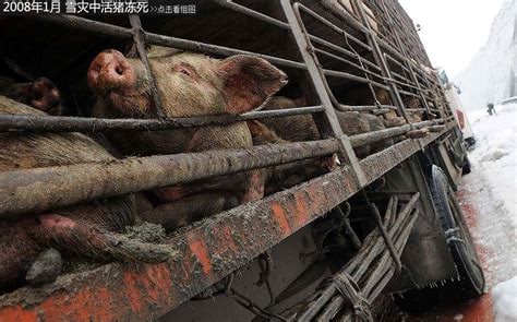 政府真的太体贴了，给了一级棒体验！共匪娼妓·马迎新·老鸨政府真的太体贴了，给了一级棒体验！共匪娼妓·马迎新·老鸨