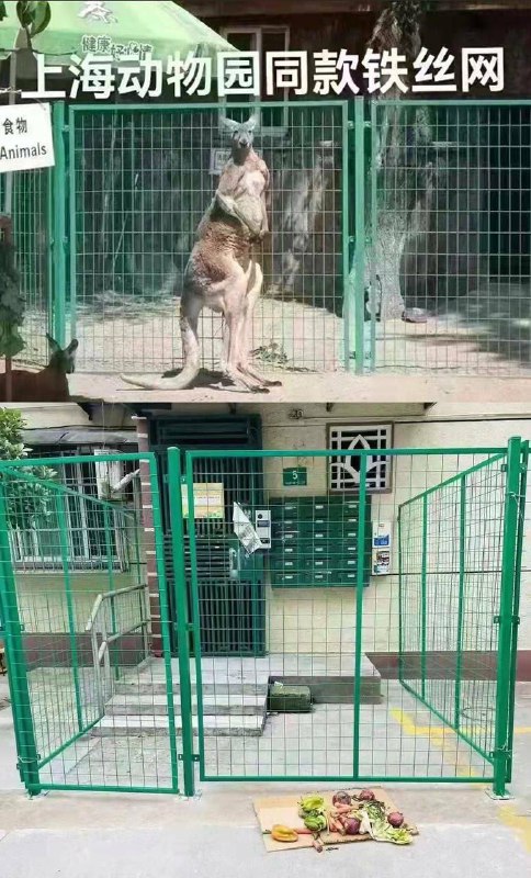 我们的祖国像动物园