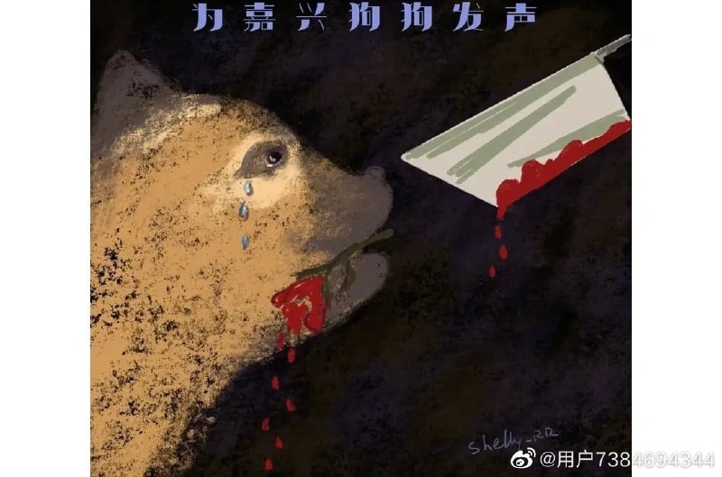 海宁公安-帮凶，教唆杀狗，还保护坏人！-连人权都没的国家，一切生物都难海宁公安-帮凶，教唆杀狗，还保护坏人！-连人权都没的国家，一切生物都难