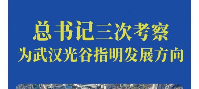 仙人指路投稿By