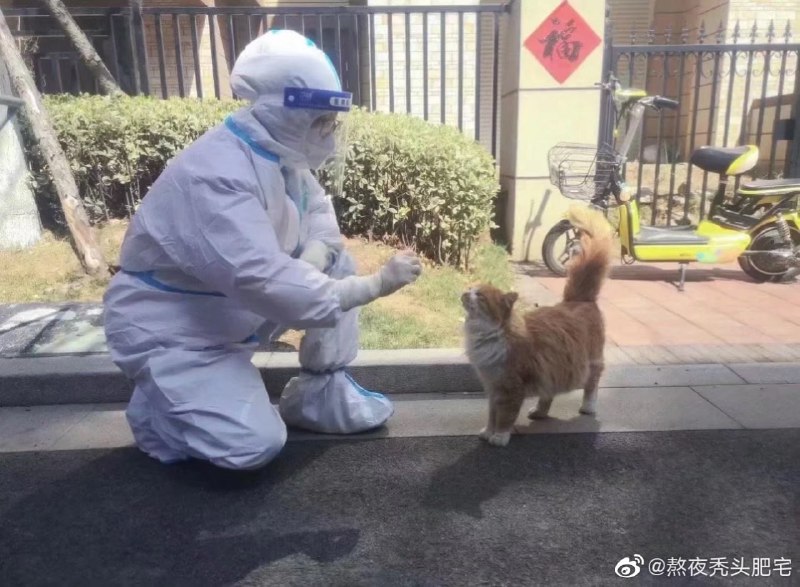 一些感人瞬间一些感人瞬间