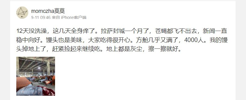 #乞丐模拟器马迎新习近平-爱巢❤️#乞丐模拟器马迎新习近平-爱巢❤️