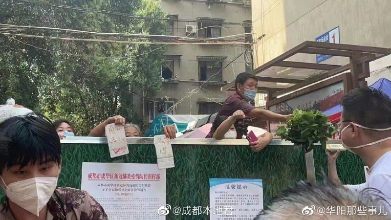 《如此买菜》By