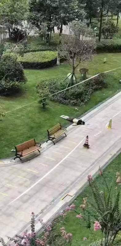 7万块钱就跳楼的 中国废青， 甚至连 忠的想法都没有7万块钱就跳楼的 中国废青， 甚至连 忠的想法都没有