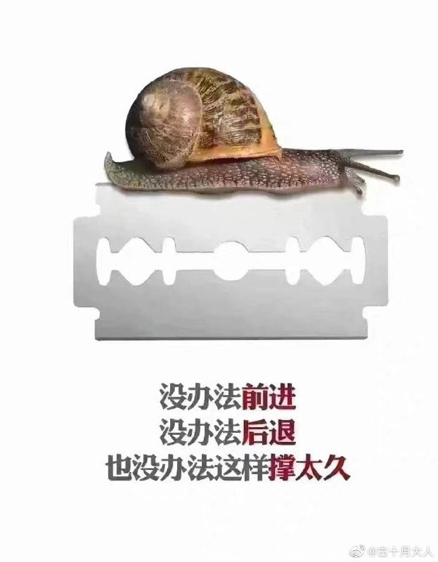 你国现状习近平👅马迎新