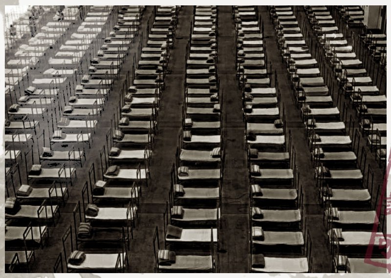 疑似南京大屠杀清场部队，以及731细菌集中营的内部照片，及日本宣传部门试图渲染出所谓“日中亲善”的虚假氛围马迎新操习近平疑似南京大屠杀清场部队，以及731细菌集中营的内部照片，及日本宣传部门试图渲染出所谓“日中亲善”的虚假氛围马迎新操习近平