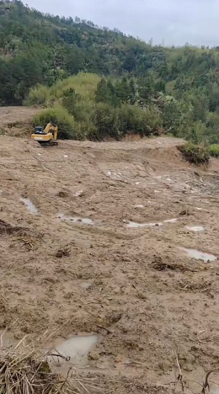 水稻上山的结局，暴雨=泥石流，没树林=沙尘暴水稻上山的结局，暴雨=泥石流，没树林=沙尘暴
